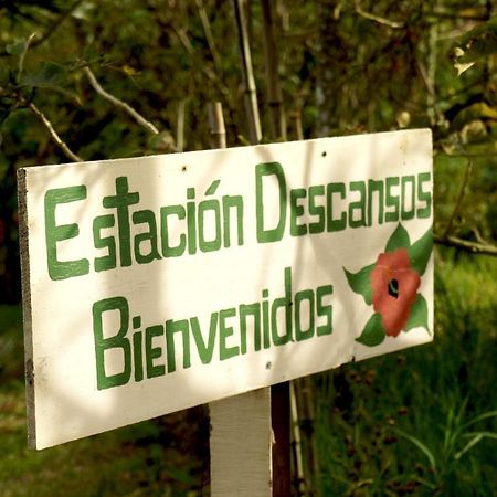 Finca Estacion Descansos Bed & Breakfast Paraiso  ภายนอก รูปภาพ